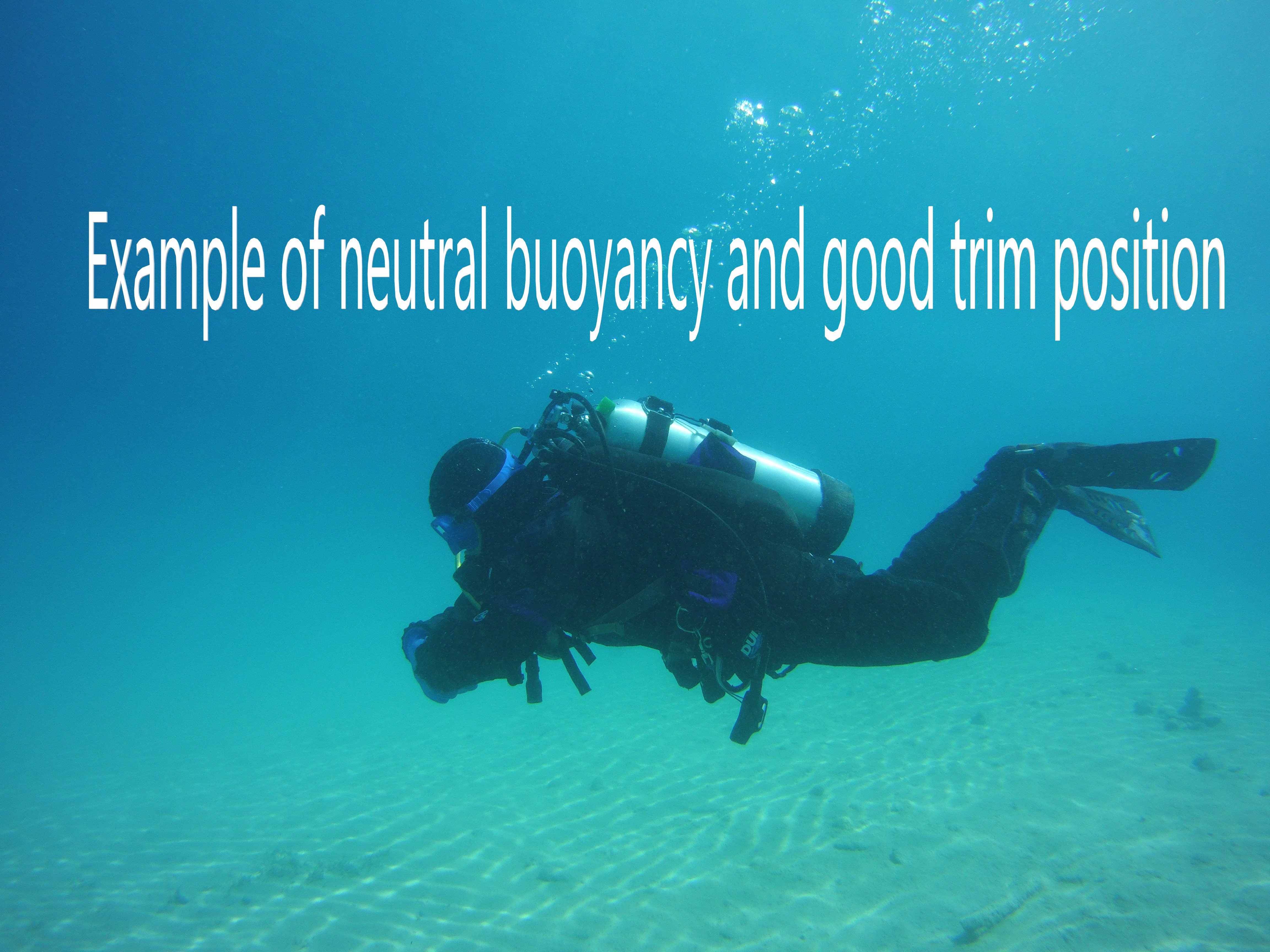 Buoyancy Control The key to good diving The Dive Outfitters Ltd